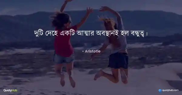 দুটি দেহে একটি আত্মার অবস্থানই হল বন্ধুত্ব। - Aristotle