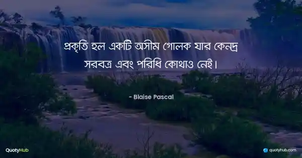 প্রকৃতি হল একটি অসীম গোলক যার কেন্দ্র সর্বত্র এবং পরিধি কোথাও নেই। - Blaise Pascal