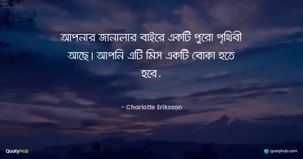 আপনার জানালার বাইরে একটি পুরো পৃথিবী আছে। আপনি এটি মিস একটি বোকা হতে হবে. - Charlotte Eriksson
