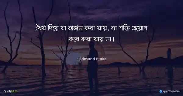 ধৈর্য দিয়ে যা অর্জন করা যায়, তা শক্তি প্রয়োগ করে করা যায় না। - Edmund Burke