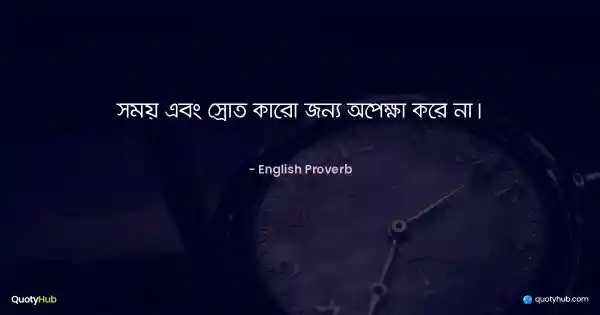 সময় এবং স্রোত কারো জন্য অপেক্ষা করে না। - English Proverb