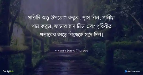 প্রতিটি ঋতু উপভোগ করুন; শ্বাস নিন, পানীয় পান করুন, ফলের স্বাদ নিন এবং পৃথিবীর প্রভাবের কাছে নিজেকে সপে দিন। - Henry David Thoreau