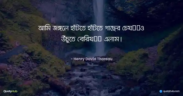 আমি জঙ্গলে হাঁটতে হাঁটতে গাছের চেয়েও উঁচুতে বেরিয়ে এলাম। - Henry David Thoreau