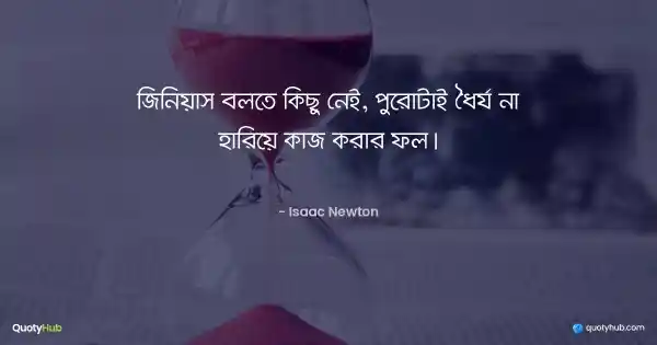 জিনিয়াস বলতে কিছু নেই, পুরোটাই ধৈর্য না হারিয়ে কাজ করার ফল। - Isaac Newton