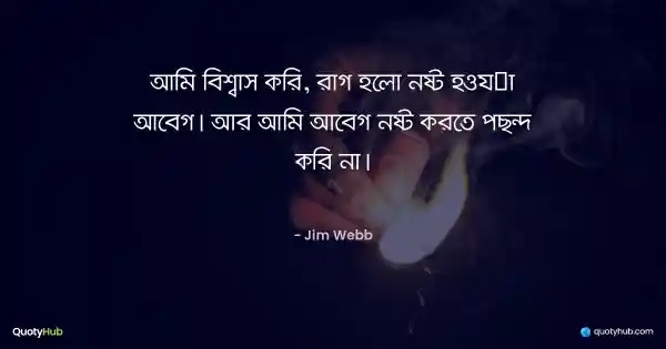 আমি বিশ্বাস করি, রাগ হলো নষ্ট হওয়া আবেগ। আর আমি আবেগ নষ্ট করতে পছন্দ করি না। - Jim Webb