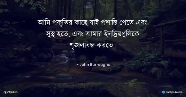 আমি প্রকৃতির কাছে যাই প্রশান্তি পেতে এবং সুস্থ হতে, এবং আমার ইন্দ্রিয়গুলিকে শৃঙ্খলাবদ্ধ করতে। - John Burroughs