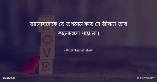 ভালোবাসাকে যে অপমান করে সে জীবনে আর ভালোবাসা পায় না। - কাজী নজরুল ইসলাম