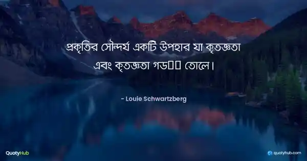 প্রকৃতির সৌন্দর্য একটি উপহার যা কৃতজ্ঞতা এবং কৃতজ্ঞতা গড়ে তোলে। - Louie Schwartzberg