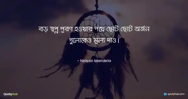 বড় স্বপ্ন পূরণ হওয়ার পথে ছোট ছোট অর্জন গুলোকেও মূল্য দাও। - Nelson Mandela