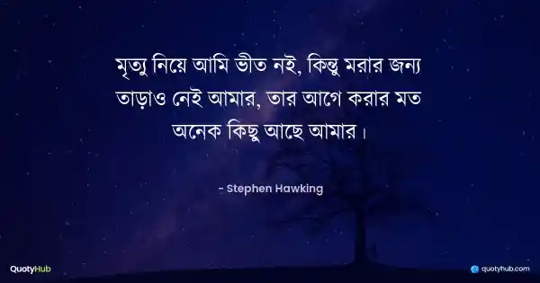 মৃত্যু নিয়ে আমি ভীত নই, কিন্তু মরার জন্য তাড়াও নেই আমার, তার আগে করার মত অনেক কিছু আছে আমার। - Stephen Hawking