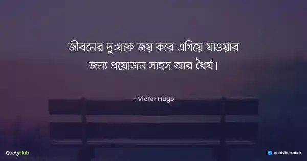 জীবনের দু:খকে জয় করে এগিয়ে যাওয়ার জন্য প্রয়োজন সাহস আর ধৈর্য। - Victor Hugo