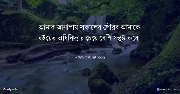 আমার জানালায় সকালের গৌরব আমাকে বইয়ের অধিবিদ্যার চেয়ে বেশি সন্তুষ্ট করে। - Walt Whitman
