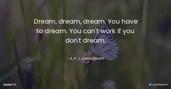 Dream, dream, dream. You have to dream. You can't work if you don't dream. - A. P. J. Abdul Kalam