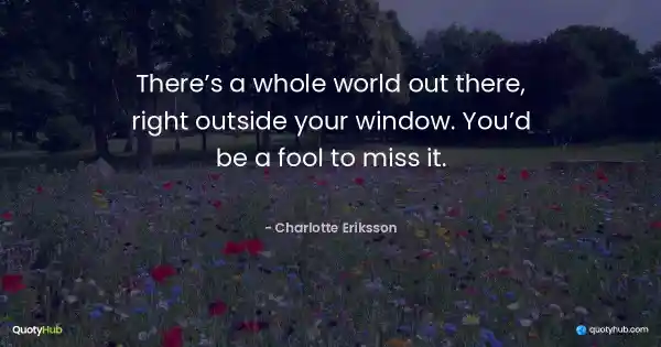 There’s a whole world out there, right outside your window. You’d be a fool to miss it. - Charlotte Eriksson