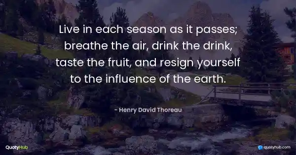 Live in each season as it passes; breathe the air, drink the drink, taste the fruit, and resign yourself to the influence of the earth. - Henry David Thoreau