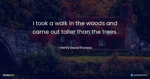 I took a walk in the woods and came out taller than the trees. - Henry David Thoreau