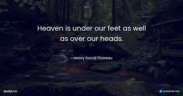 Heaven is under our feet as well as over our heads. - Henry David Thoreau