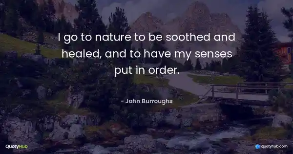 I go to nature to be soothed and healed, and to have my senses put in order. - John Burroughs
