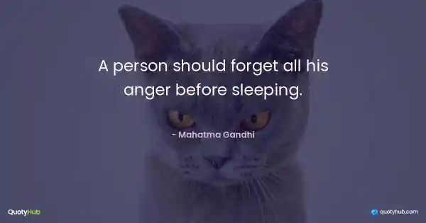 A person should forget all his anger before sleeping. - Mahatma Gandhi