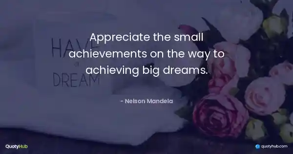 Appreciate the small achievements on the way to achieving big dreams. - Nelson Mandela