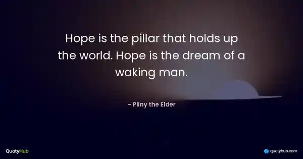 Hope is the pillar that holds up the world. Hope is the dream of a waking man. - Pliny the Elder