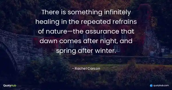 There is something infinitely healing in the repeated refrains of nature—the assurance that dawn comes after night, and spring after winter. - Rachel Carson