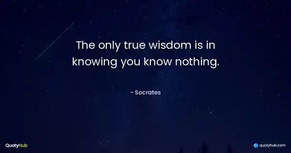 The only true wisdom is in knowing you know nothing. - Socrates