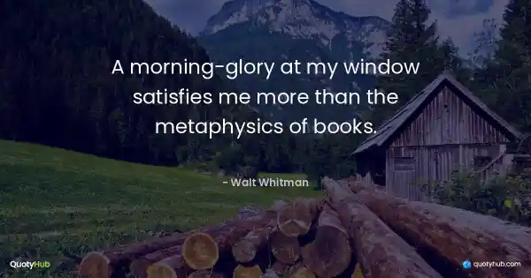 A morning-glory at my window satisfies me more than the metaphysics of books. - Walt Whitman